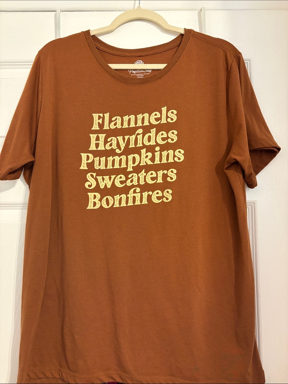 Rust Orange Graphic Tee with Fall Typography - fits XL PtP 23